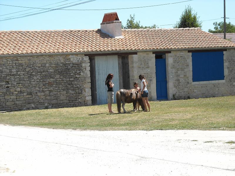 photo 061.jpg - Laure et Chloé font connaissance avec la petite voisine et son poney (Ile d'Oléron)